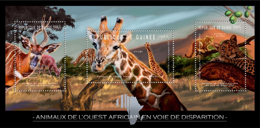 Endangered Animals of West Africa, Animals, (Tragelaphus eurycerus, Giraffa, Panthera pardus). - Issue of Guinée postage stamps
