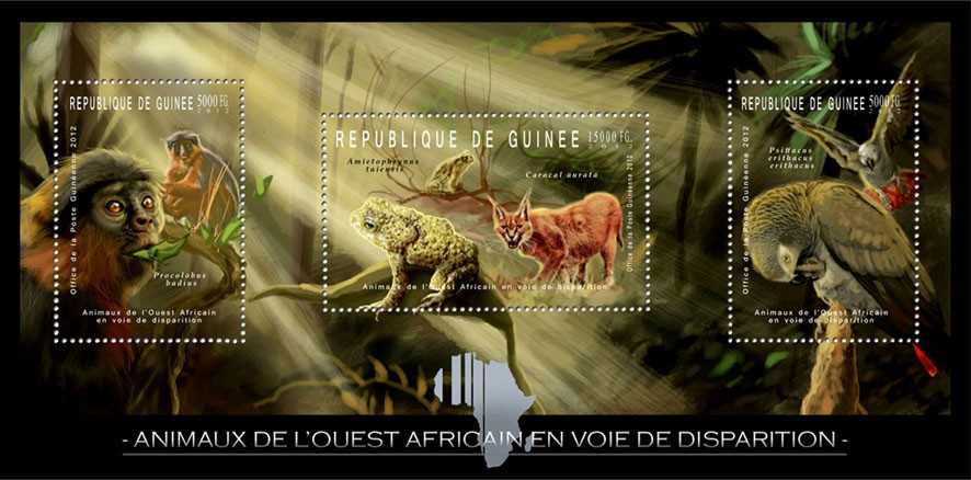 Endangered Animals of West Africa, Animals & Birds, (Procolubus banius, Caracal aurata, Psittacus eritacuc). - Issue of Guinée postage stamps