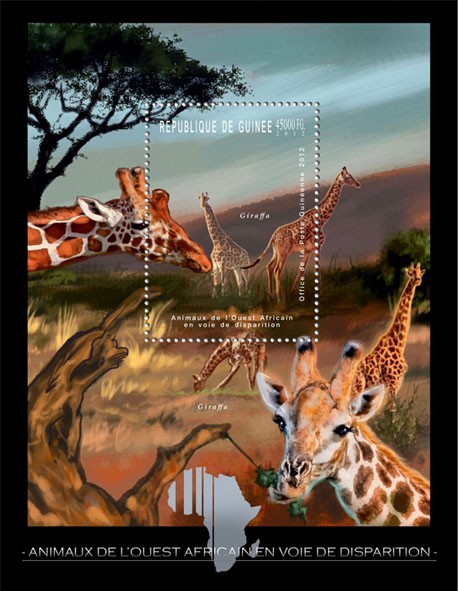 Endangered Animals of West Africa, Animals, (Girrafa). - Issue of Guinée postage stamps