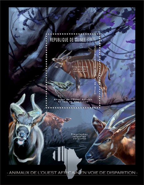 Endangered Animals of West Africa, Animals & Birds, (Tragelaphus eurycerus). - Issue of Guinée postage stamps