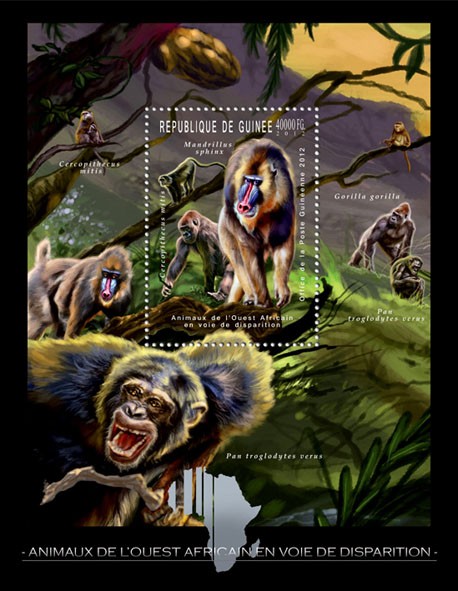 Endangered Animals of West Africa, Animals, (Mandrillus sphinx, Ceropithecuc mitis). - Issue of Guinée postage stamps