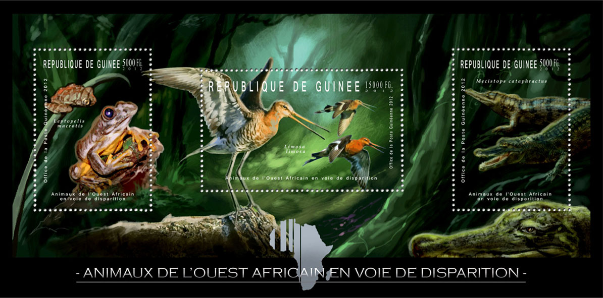 Endangered Animals of West Africa,  Reptiles & Birds, (Leptopelis macrotis, Limosa limosa, Mecistops cataphractus). - Issue of Guinée postage stamps