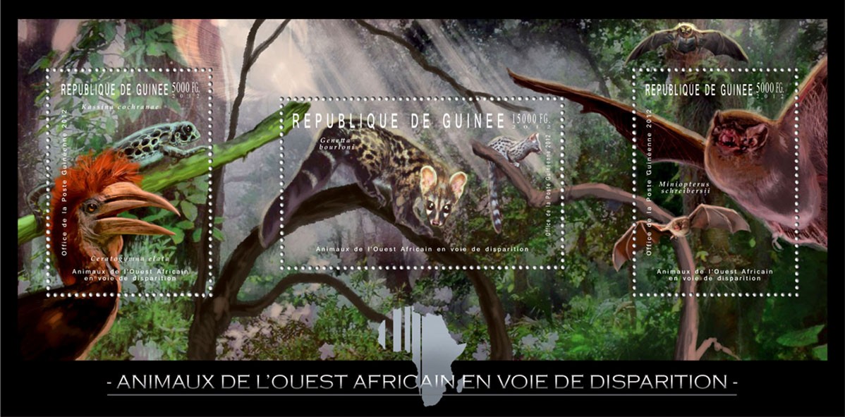 Endangered Animals of West Africa,  Birds, Reptiles, Animals, (Kassina cochranae, Genetta bourloni, Miniopterus schreibersii). - Issue of Guinée postage stamps