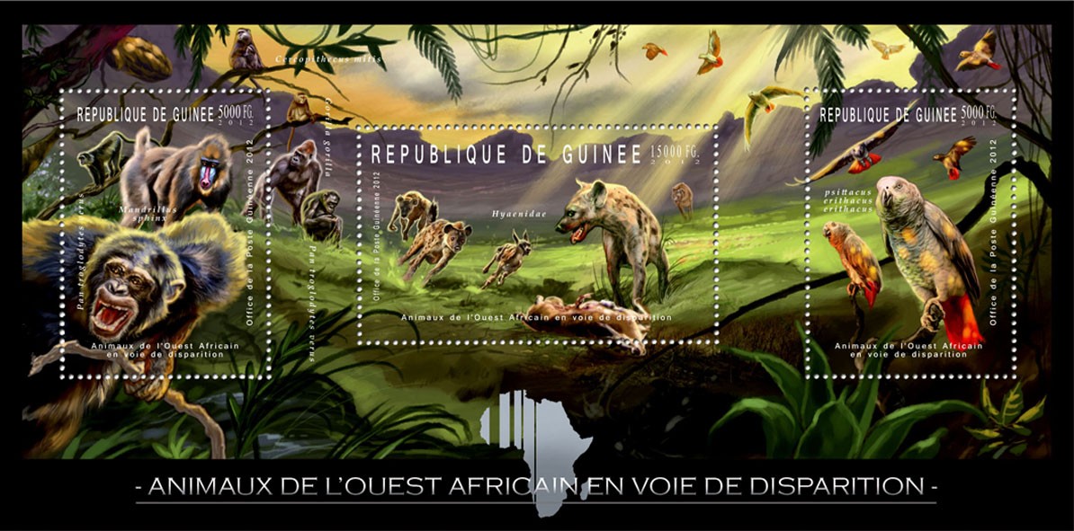 Endangered Animals of West Africa, Animals & Birds, (Pan troglodytes erus, Hyaenidae, Psittacus eritacuc erithacus). - Issue of Guinée postage stamps
