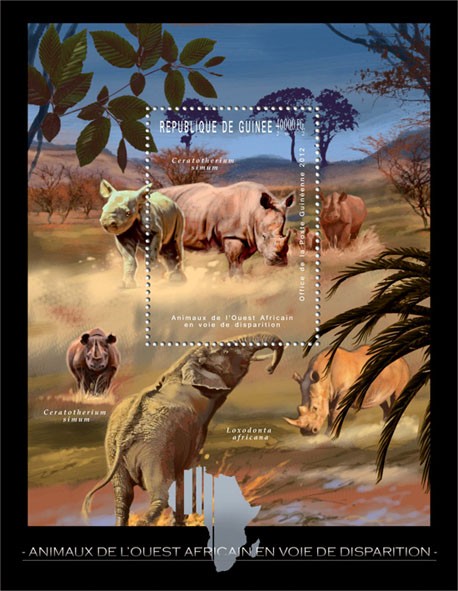 Endangered Animals of West Africa, Animals, (Ceratotherium simum). - Issue of Guinée postage stamps