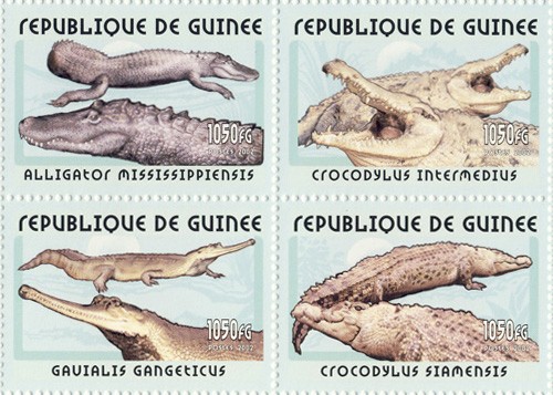 Crocodile 4v - Issue of Guinée postage stamps