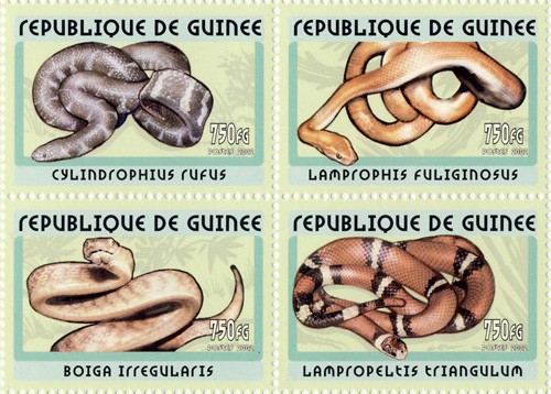 Snakes 4v - Issue of Guinée postage stamps