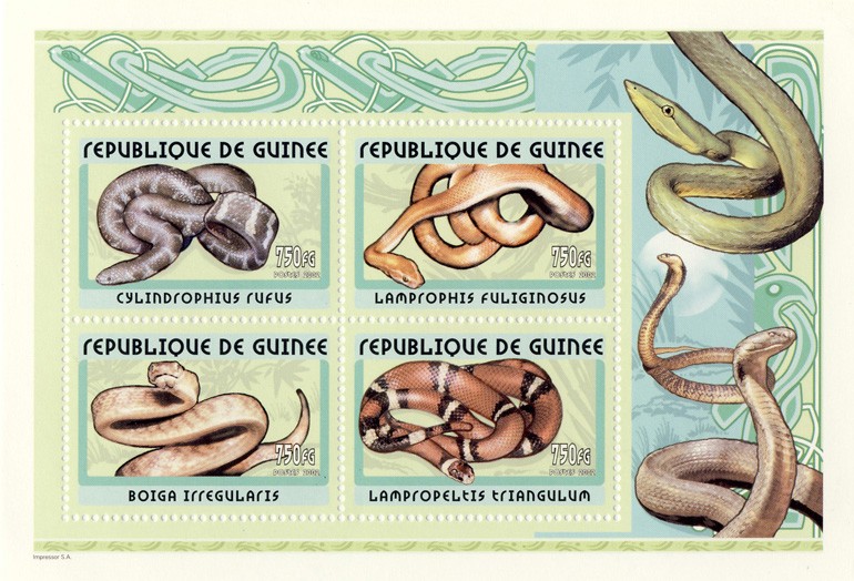 Snakes s/s - Issue of Guinée postage stamps