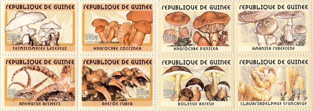 Mushrooms 8v - Issue of Guinée postage stamps