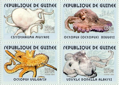 Octopus 4v - Issue of Guinée postage stamps