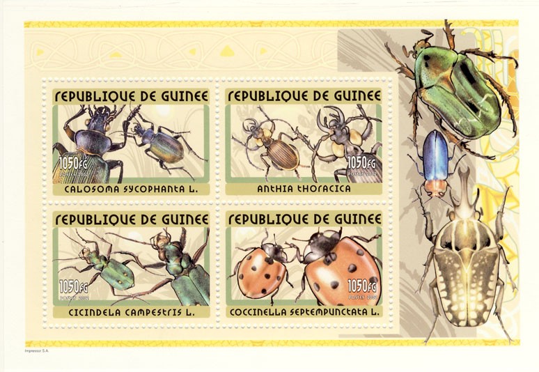 Insects - Issue of Guinée postage stamps