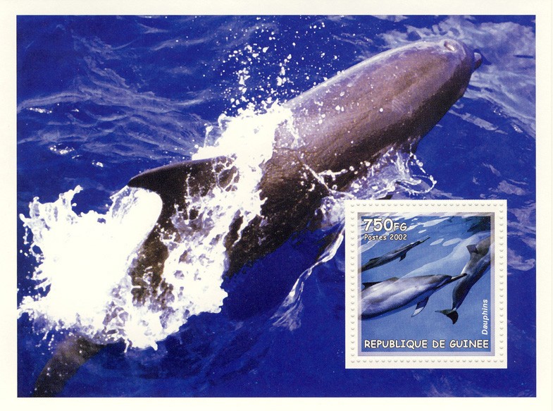 Dolphins s/s - Issue of Guinée postage stamps