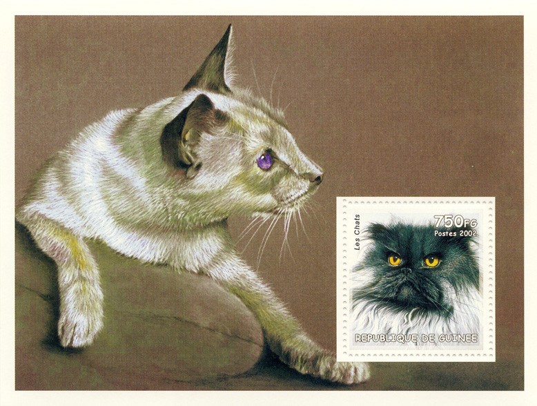 Cats s/s - Issue of Guinée postage stamps