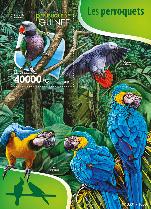 Parrots - Issue of Guinée postage stamps