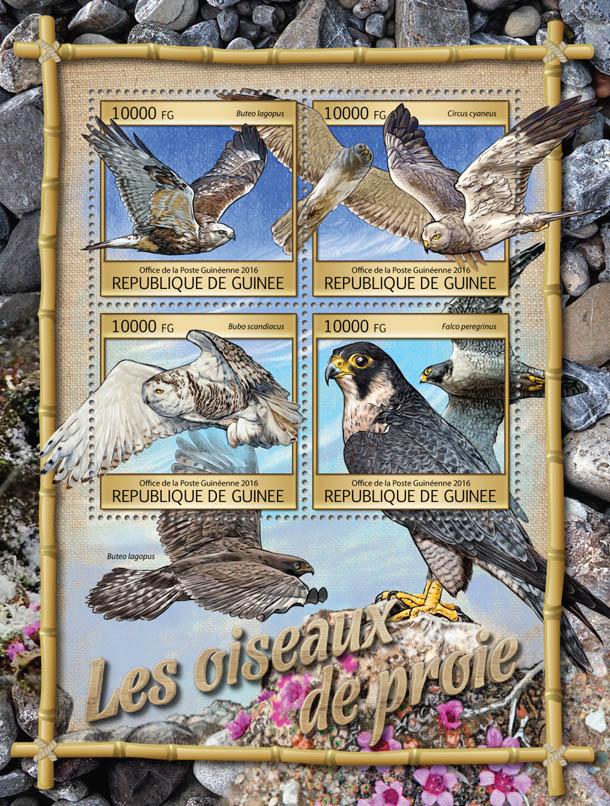 Birds of Prey - Issue of Guinée postage stamps