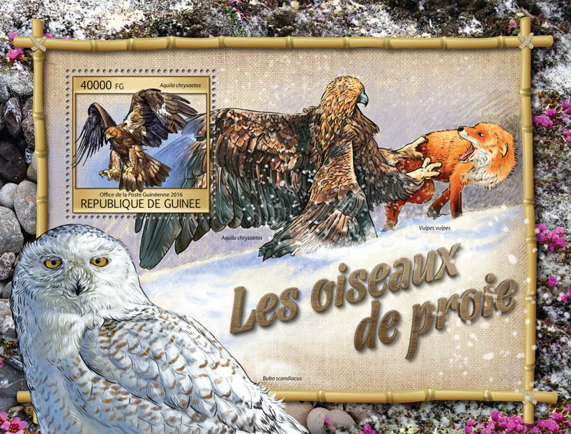 Birds of Prey - Issue of Guinée postage stamps