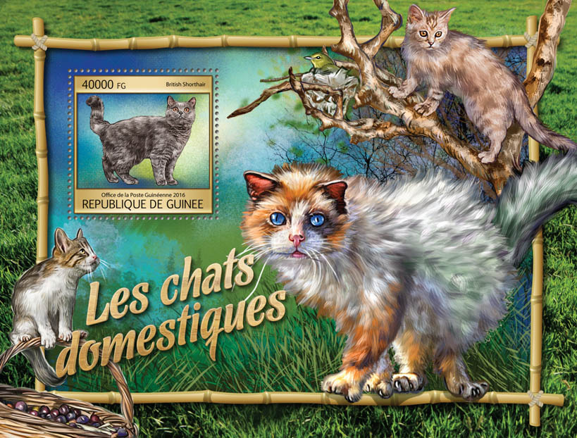 Domestic cats - Issue of Guinée postage stamps