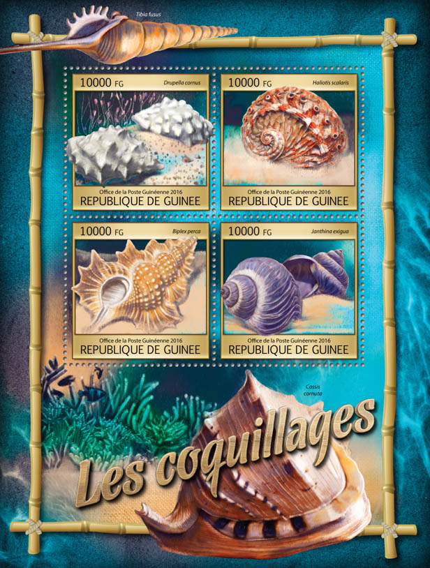 Shells - Issue of Guinée postage stamps