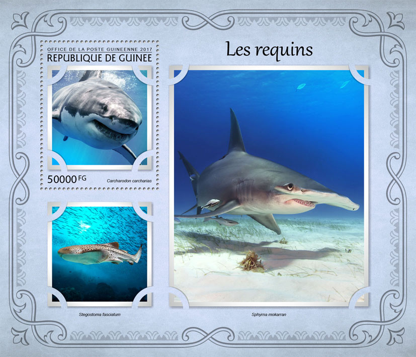 Sharks - Issue of Guinée postage stamps