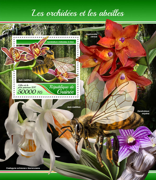 Orchids and bees - Issue of Guinée postage stamps