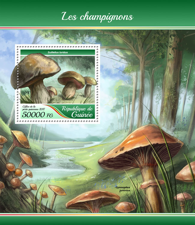 Mushrooms - Issue of Guinée postage stamps