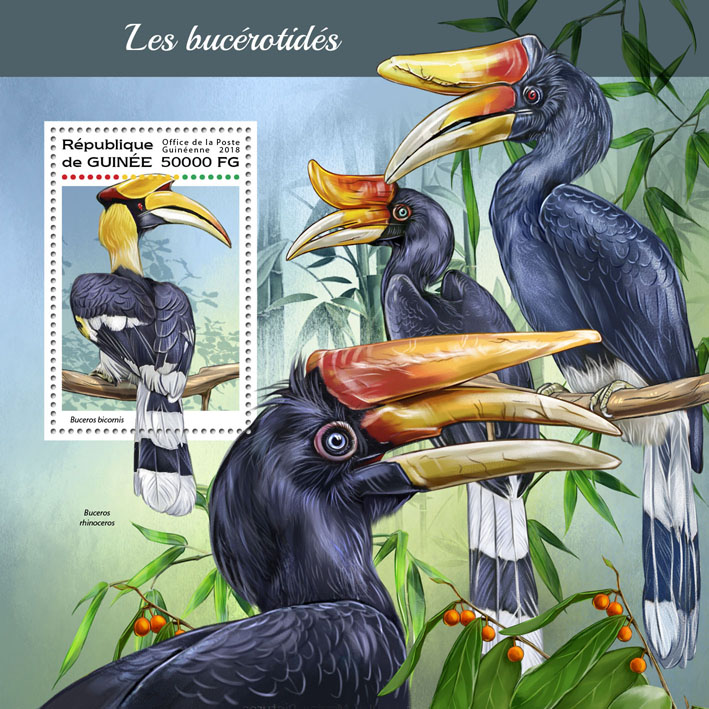 Hornbills - Issue of Guinée postage stamps