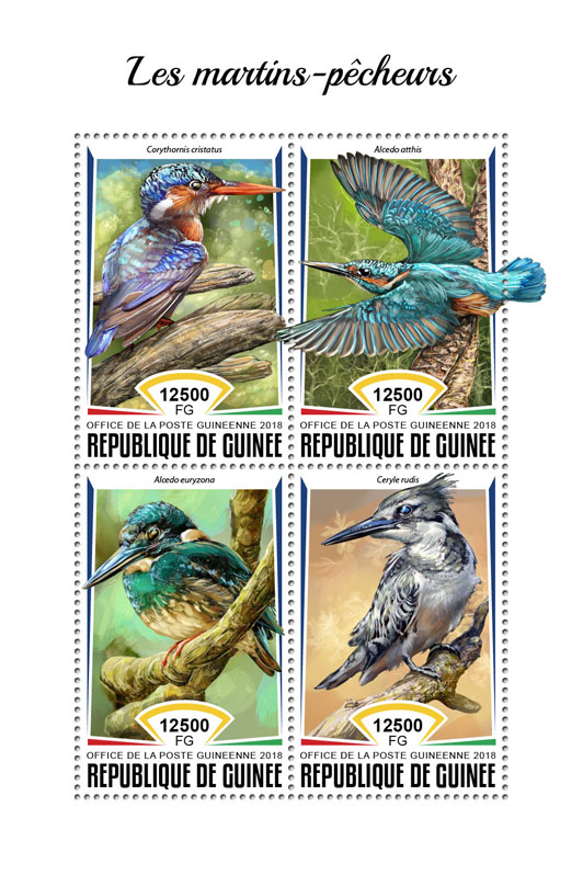 Kingfishers - Issue of Guinée postage stamps
