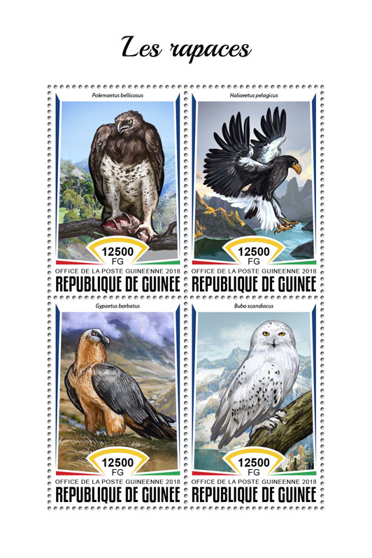Birds of prey - Issue of Guinée postage stamps