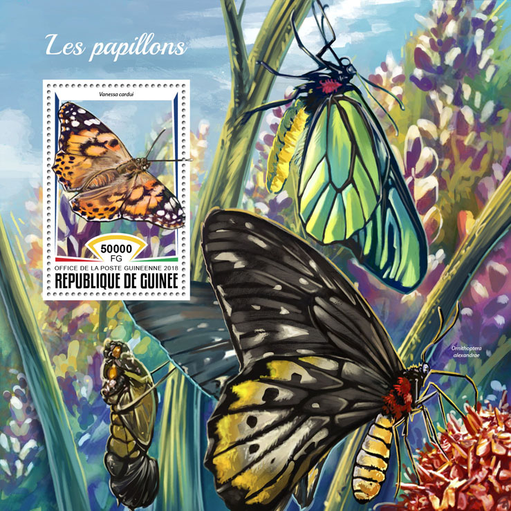 Butterflies - Issue of Guinée postage stamps