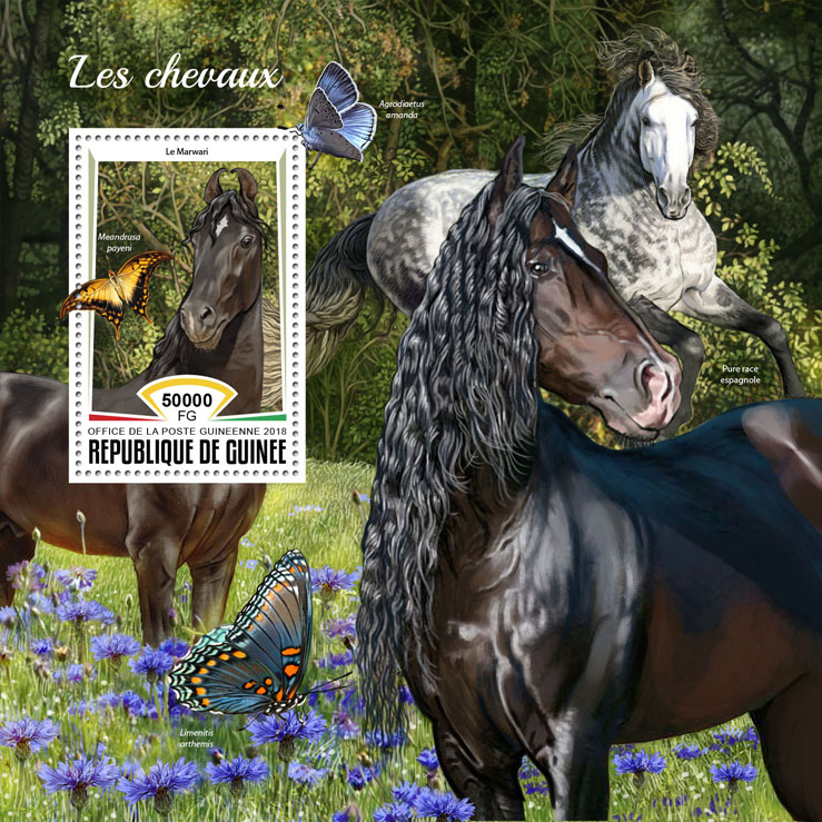 Horses - Issue of Guinée postage stamps