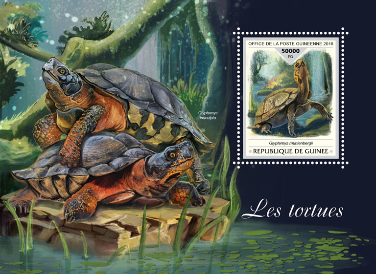 Turtles - Issue of Guinée postage stamps