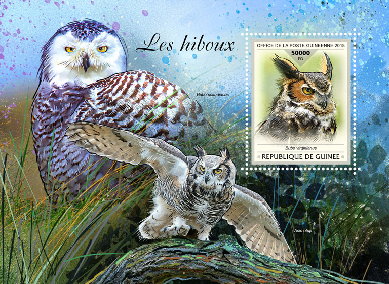 Owls - Issue of Guinée postage stamps