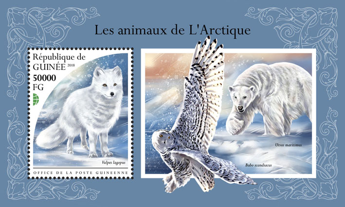 Arctic animals - Issue of Guinée postage stamps