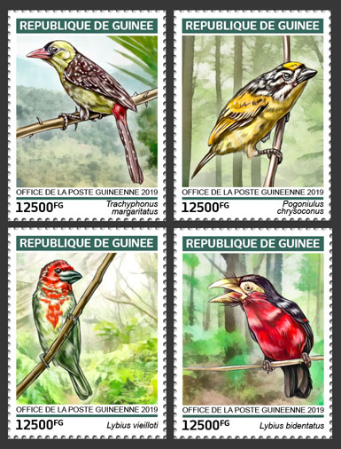 Barbets - Issue of Guinée postage stamps