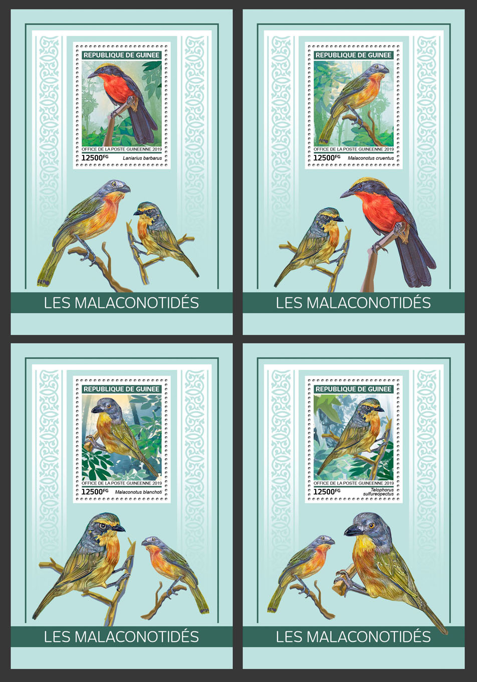 Bushshrikes - Issue of Guinée postage stamps
