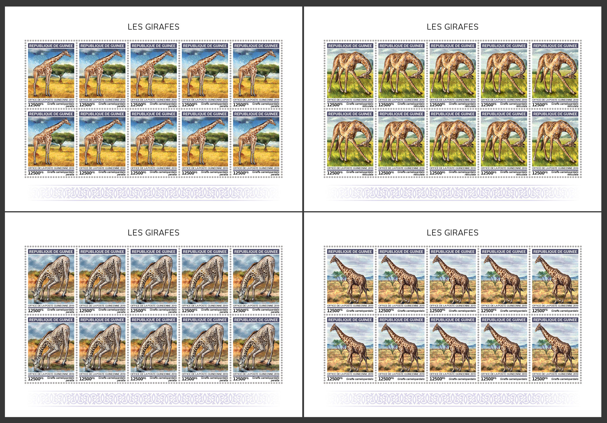 Giraffes - Issue of Guinée postage stamps