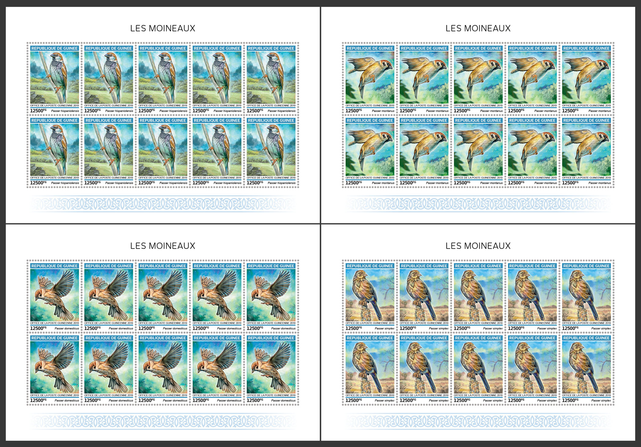Sparrows - Issue of Guinée postage stamps
