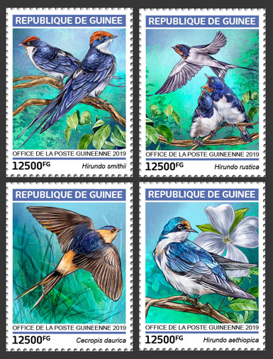 Swallows - Issue of Guinée postage stamps