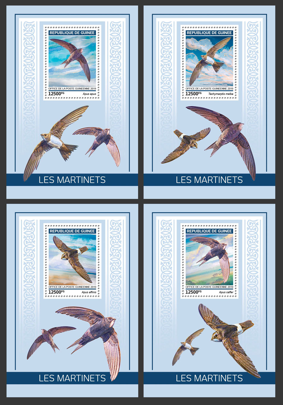 Swifts - Issue of Guinée postage stamps