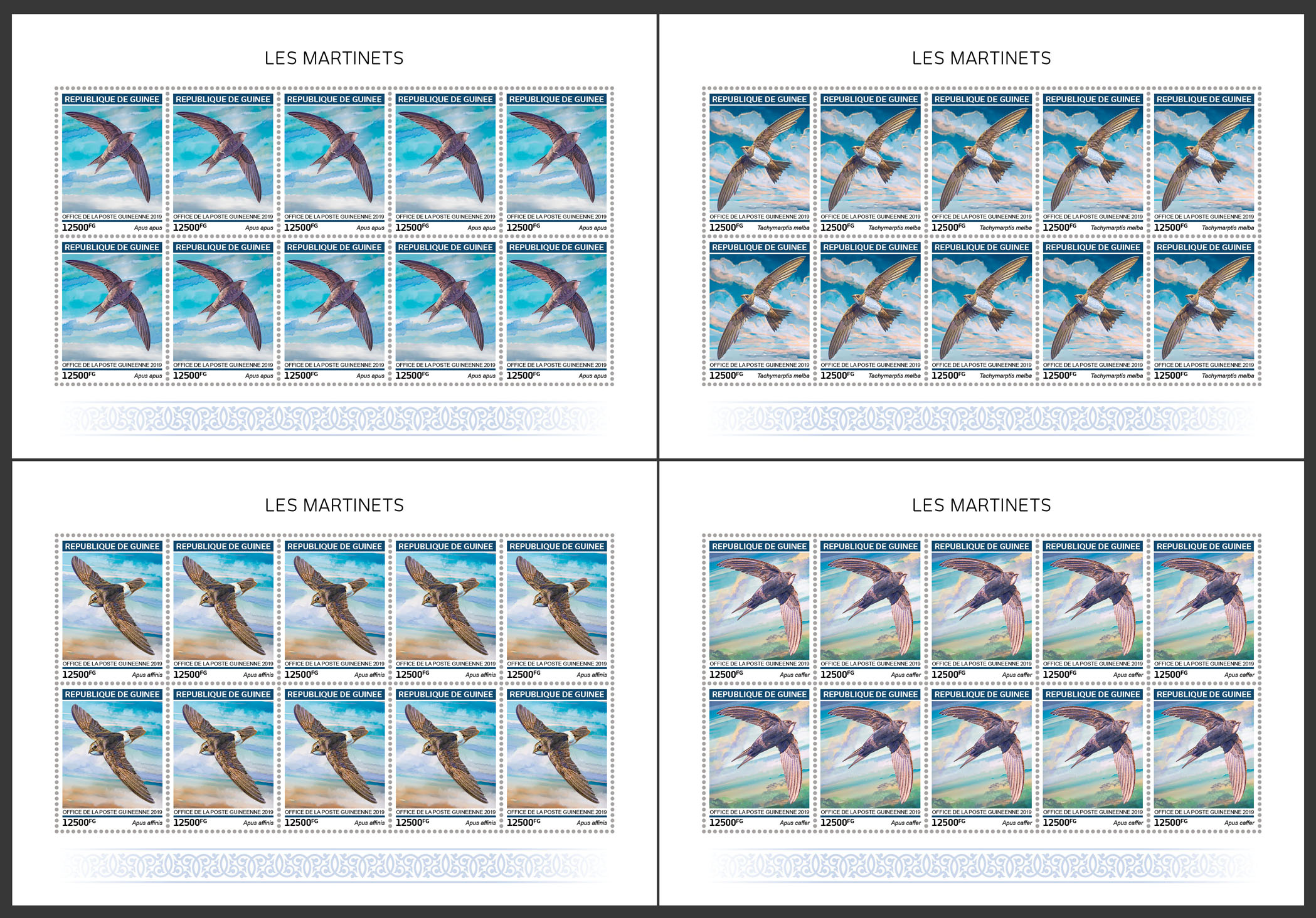 Swifts - Issue of Guinée postage stamps