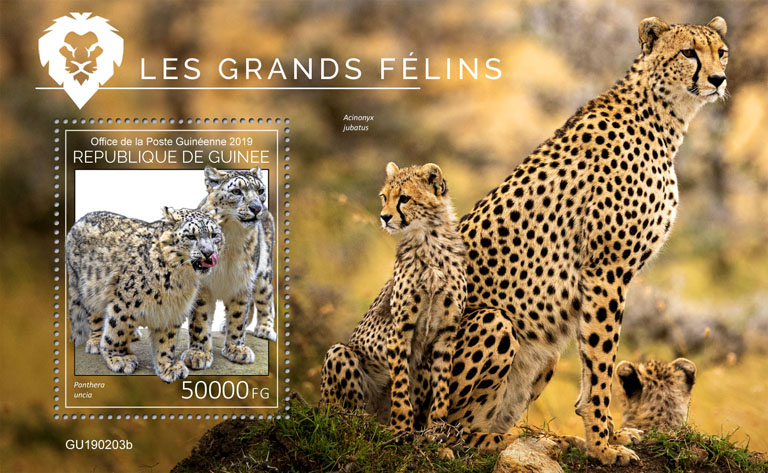 Big cats - Issue of Guinée postage stamps