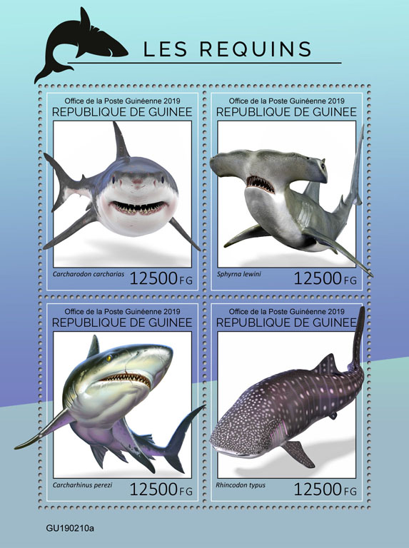 Sharks - Issue of Guinée postage stamps