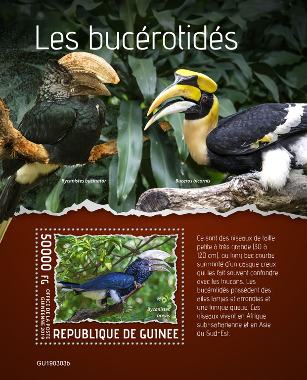 Hornbills - Issue of Guinée postage stamps