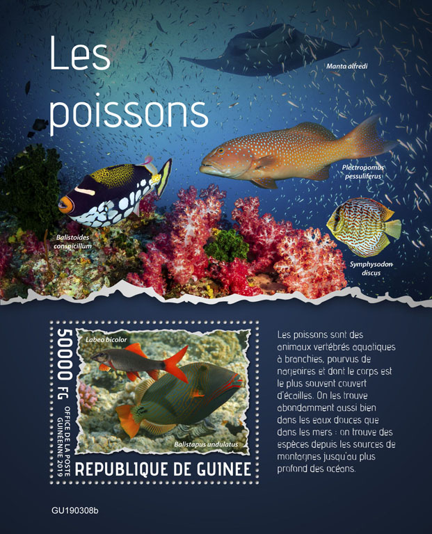 Fishes - Issue of Guinée postage stamps