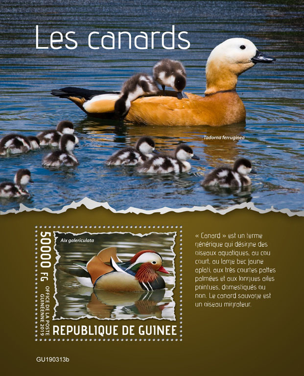 Ducks - Issue of Guinée postage stamps