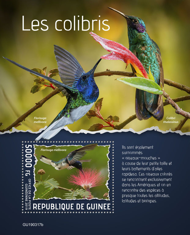 Colibri - Issue of Guinée postage stamps