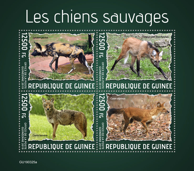 Wild dogs - Issue of Guinée postage stamps