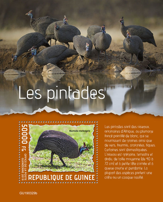 Guineafowls - Issue of Guinée postage stamps