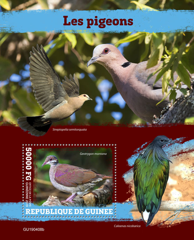 Pigeons - Issue of Guinée postage stamps